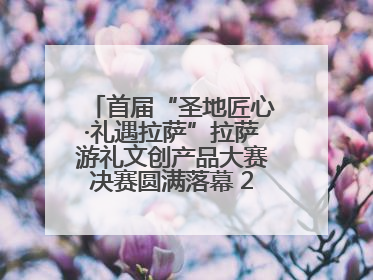 首届“圣地匠心·礼遇拉萨”拉萨游礼文创产品大赛决赛圆满落幕 20强文创佳作绽放雪域文化魅力